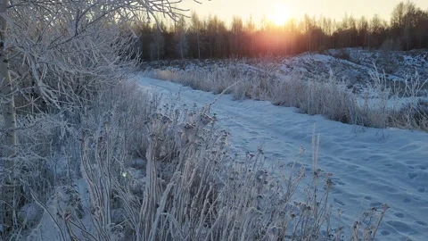 Misty winter dawn on the lake Stock Footage 230050199