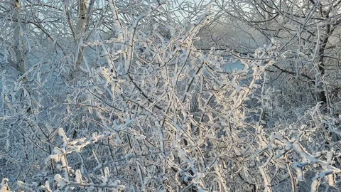 Misty winter dawn on the lake Stock Footage 230050459