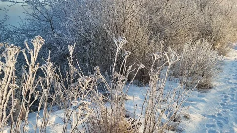 Misty winter dawn on the lake Stock Footage 230050572