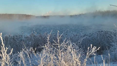 Misty winter dawn on the lake Stock Footage 230050654