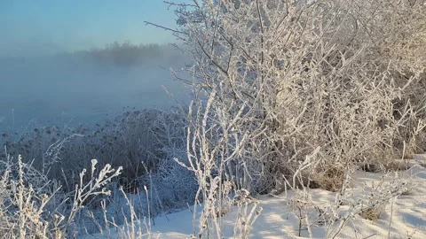 Misty winter dawn on the lake Stock Footage 230050656