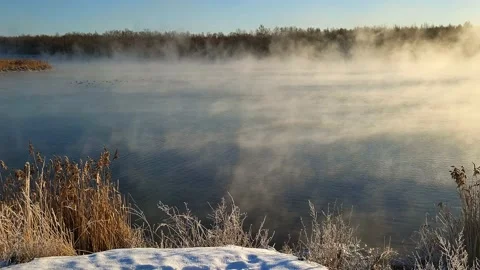 Misty winter dawn on the lake Stock Footage 230050709