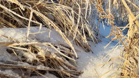 Misty winter dawn on the lake Stock Footage 230051266