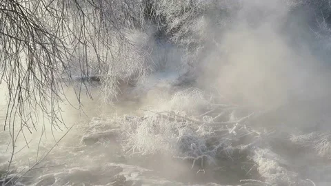 Misty winter dawn on the lake Stock Footage 230051479