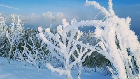 Misty winter dawn on the lake Stock Footage 230053632