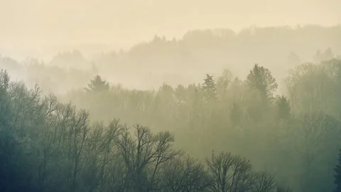 Misty winter landscape with bare trees and rolling hills, Limousin France 動画素材 333693936
