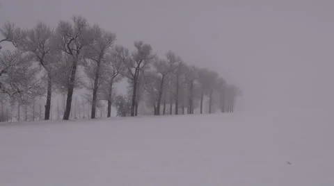 Misty winter landscape Stock Footage 68714605