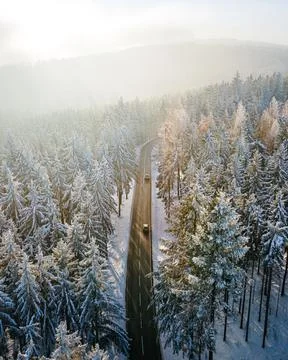 Misty Winter Road through Pine Forest in Hesse, Germany Stock Photos