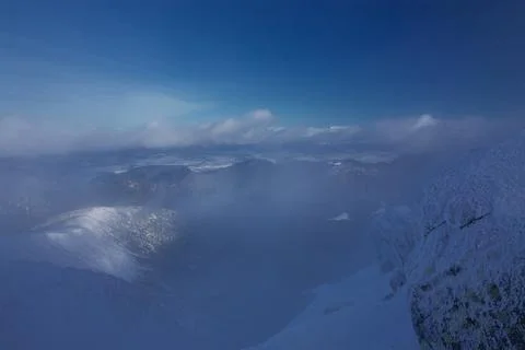 Misty winter view Stock Photos