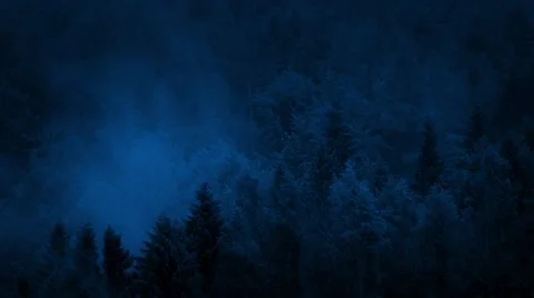 Misty Woods At Night Stock Footage 67262423