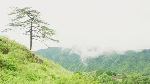 Misty Wugong mountain 스톡 동영상 347486492