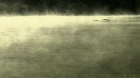 Mistylake07 Stock Footage 506561