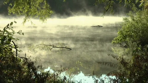 Mistylake08 Stock Footage 506565