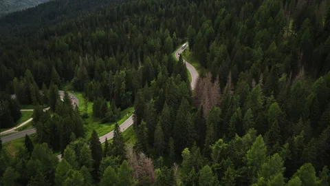 Misurina Forest Road - Tre Cime Pass - Dolomites - Veneto - Italy Stock Footage 346775804