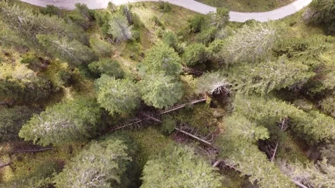 Misurina lake 스톡 동영상 147559587