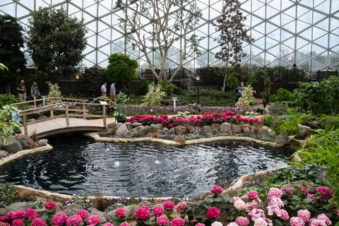 Mitchell Park Horticultural Conservatory Spring Show Dome bridge in Milwaukee 写真素材