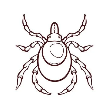 Mite bug art, insect control. Vector illustration Stock Illustration