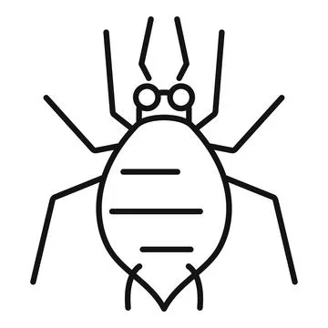 Mite insect bug parasite with six legs and two antennae line icon Stock Illustration