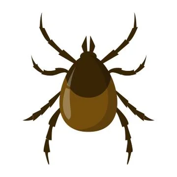 Mite insect. Encephalitis parasite, brown bug. Dangerous for human creature. イラスト素材