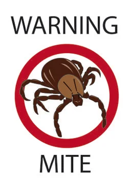 Mite. Insect parasite warning vector image Stock-Illustration