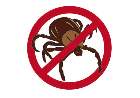 Mite. Insect parasite warning vector image. Stock-Illustration