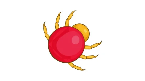 Mite parasite icon animation Vidéo 157169691