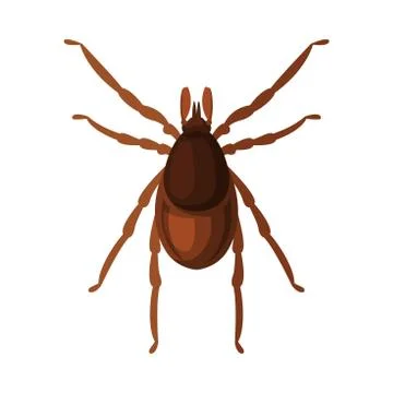 Mite Tick Insect, Pest Control and Extermination Concept Vector Illustration on Stock Illustration