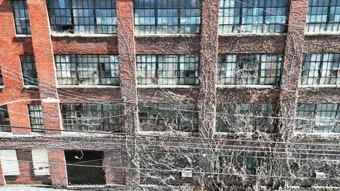 Mitigated - Syracuse, NY Photos