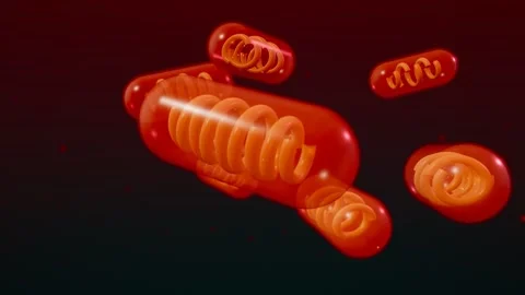 Mitochondria Cluster Drifting Cytoplasm Stock Footage 342294643