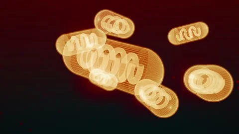 Mitochondria Cluster Holographic Projection 스톡 동영상 342294829