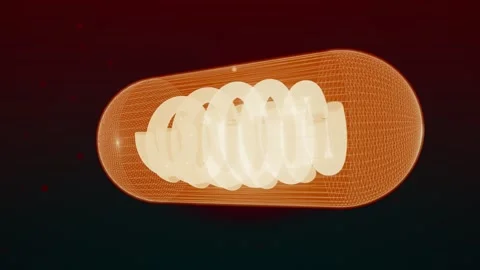 Mitochondria Cutaway Volumetric Scan Stock Footage 342294963