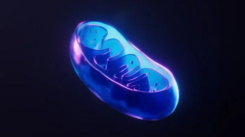 Mitochondria with dark neon light effect, 3d rendering. Stock Footage 272562221