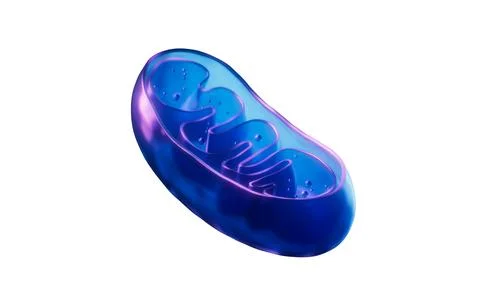 Mitochondria with dark neon light effect, 3d rendering. Stock Illustration