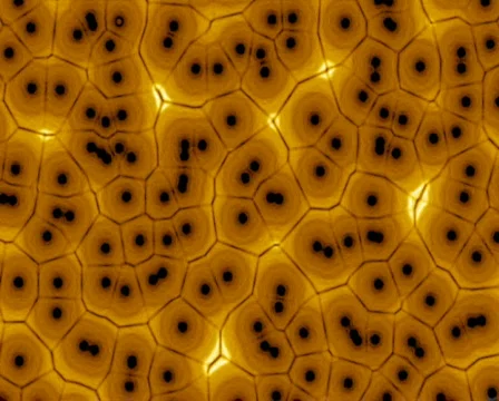 Mitochondria 库存影片 103829