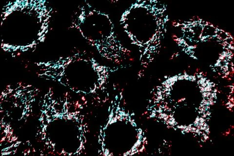 Mitochondria Stock Illustration