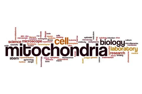 Mitochondria word cloud Stock Illustration