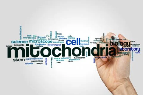 Mitochondria word cloud Stock Illustration