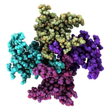 Mitochondrial rna binding proteins Stock Illustration