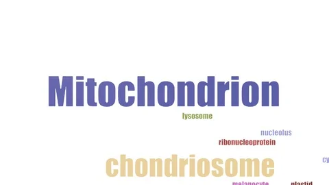 Mitochondrion Tagcloud Animated On White Background Vídeos de archivo 107225978