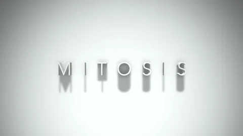 Mitosis 3D title animation with shadows on a white background Stock Footage 297385860