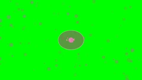 Mitosis Division Bloom Animated Science and Healthcare Motion Graphic Stock Footage 341913037