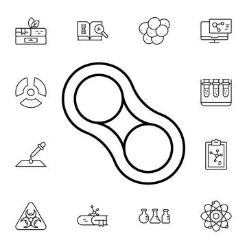 Mitosis flat vector icon in biology pack Stock Illustration