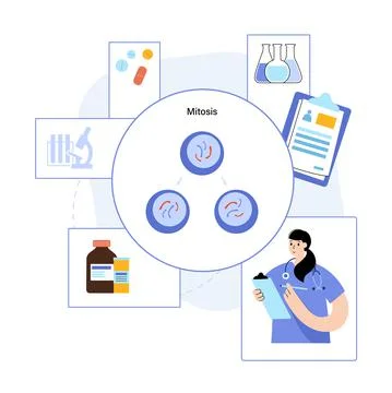 Mitosis process concept Stock Illustration