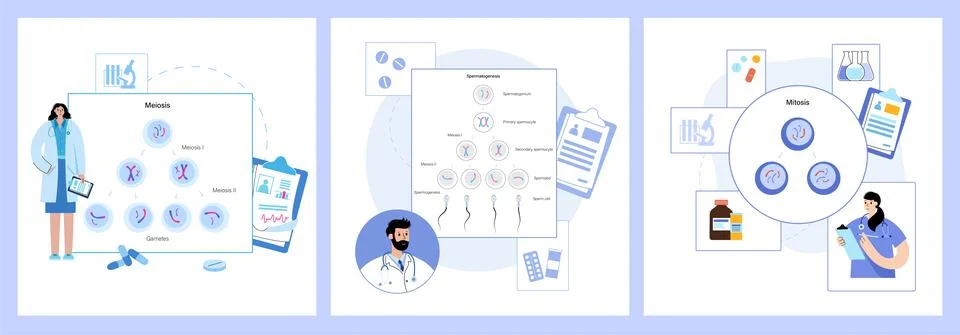 Mitosis process concept Stock Illustration