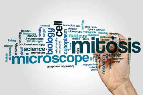Mitosis word cloud Stock Illustration