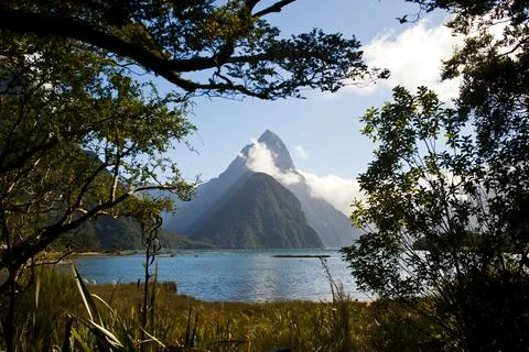 Mitre Peak Seen Through the Trees at Milford Sound, Fiordland, South Island, New Stock Photos
