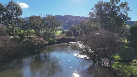 Mitta Mitta River Aerial Stock Footage 337776146