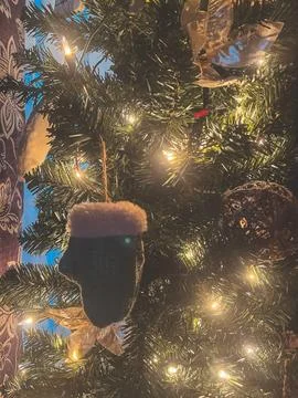 Mitten Tree Stock Photos