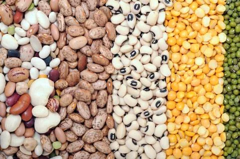 Mix of bean Stock Photos