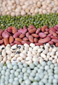 Mix bean Stock Photos